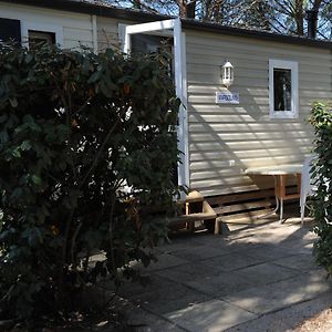 Mobile Home