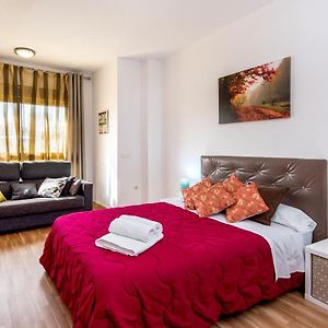 Loft Malagasol