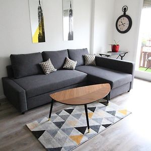 Colmar City Center - Schnapsala Terrasse And Free Parking - Bookingalsace
