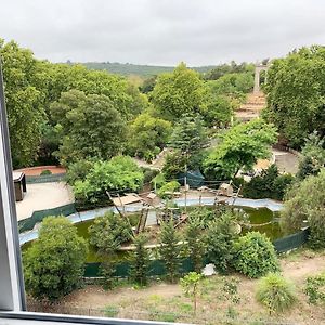 Apartamento Vista Frontal Zoo