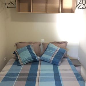 Studio Lit Queen-Size