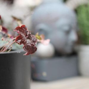 Exklusive Designferienwohnung The Backyard Tby 02