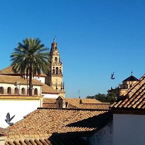 La Mirada De La Juderia