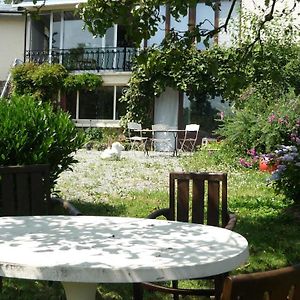 Dinant La Bergeronnette Avec La Chaleur Du Feu De Bois Et Le Jardin
