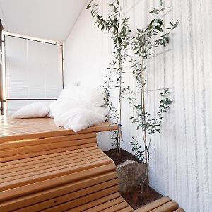 Bright Penthaus Apartement, With A Wonderful View