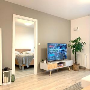 Elegant, Bright Spacious Apartment In Bratislava Center