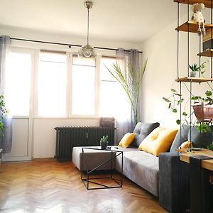 Sunny Downtown Apartment For 4