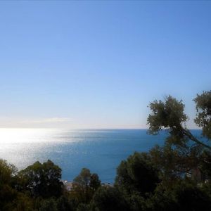 Malaga-Vacation II