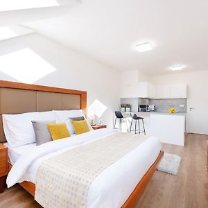 Appartement de Luxe