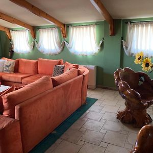 Tirana Apartment B&B