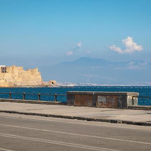 Napolixsuite