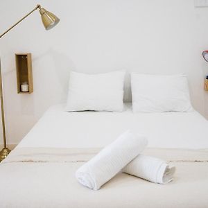 Cosy And Modern Flat In Porto