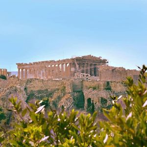 Athens Blossom House Under Acropolis With Private Entrance
