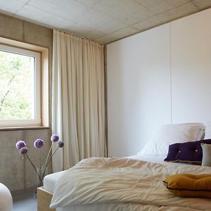 Studio Lit Queen-Size