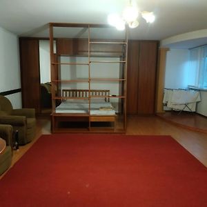 Nice Apartment Near Gulliver