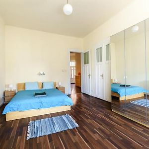 Arpa Flat Sunny