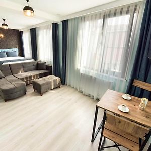 Suite Junior