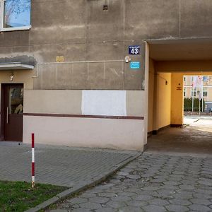 Saska Kepa Modern Apartment