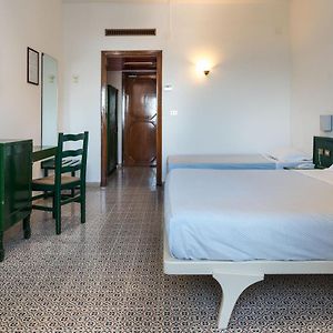 Chambre Standarde Quadruple
