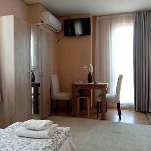 Suite Junior