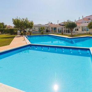 Sunny Home Oura By Alzira