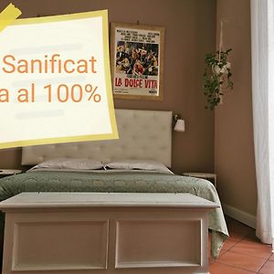 Suite Junior