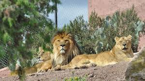 parc zoologique de Fréjus