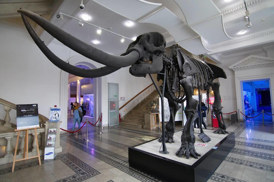 Musée national d'histoire naturelle « Grigore Antipa »