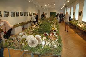 Musée d'histoire naturelle de Lettonie