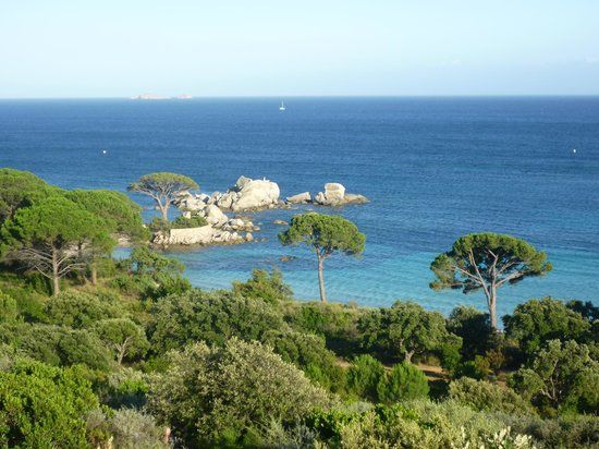 Réserve naturelle des Iles Cerbicales