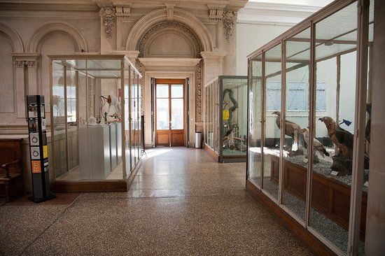 Musée de zoologie Lausanne