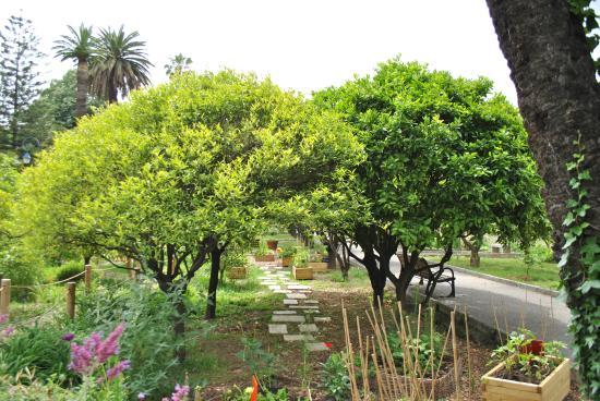 Jardin du Palais de Carnolès