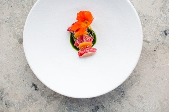 Studio - The Standard