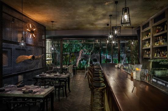 Feedel Urban Gastronomy