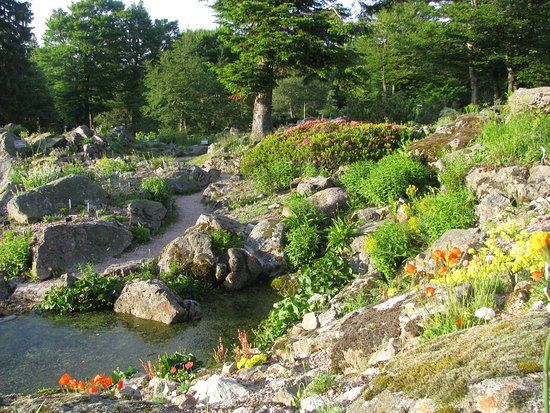 Jardin d'altitude du Haut Chitelet