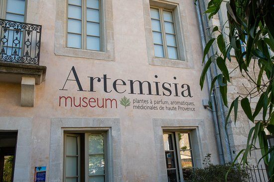 musée d'Artemisia