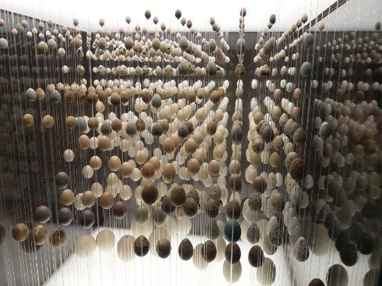 Galeria da Biodiversidade