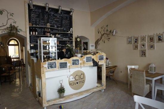 Kocicí kavarna na Smíchove