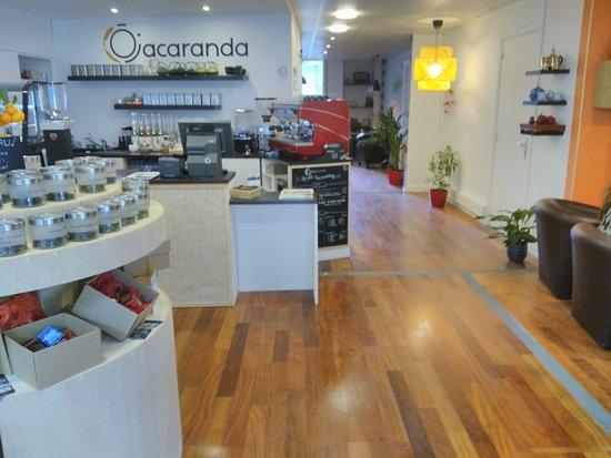 Ojacaranda
