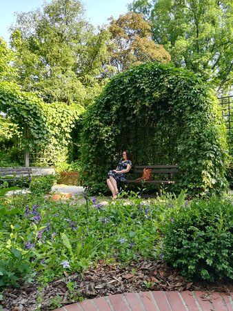 Jardin botanique de l'université de Varsovie