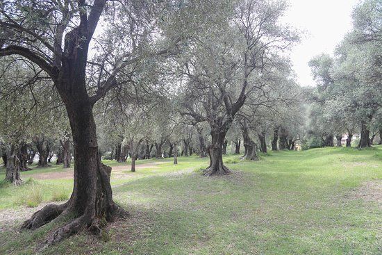 Parc départemental du Pian