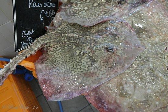 Poissonnerie de la côte