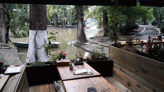 La Pod by Gogu Constantinescu