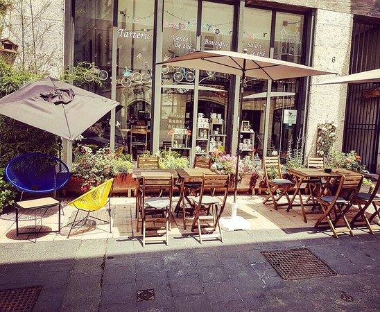 Le Colibri Fait Son Nid