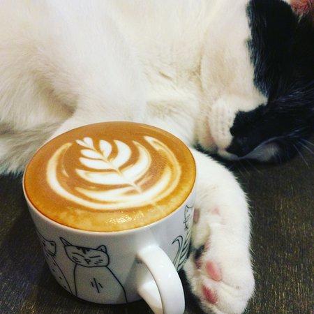 Cafe De Cat