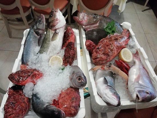 Centralissimo Wine Bar