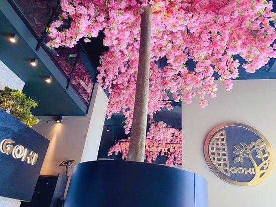 Goki sushi experience