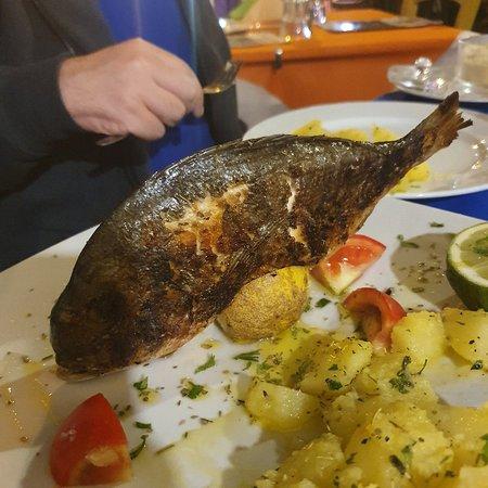 Trattoria Tipica Siciliana Zia Anna