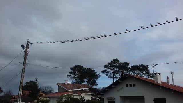 Boulangerie Patisserie du Port