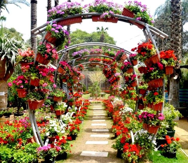 Jardin botanique d'Orman